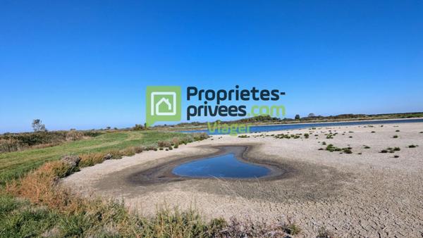 VIAGER libre :BOURCEFRANC LE CHAPUS-ILE D'OLERON