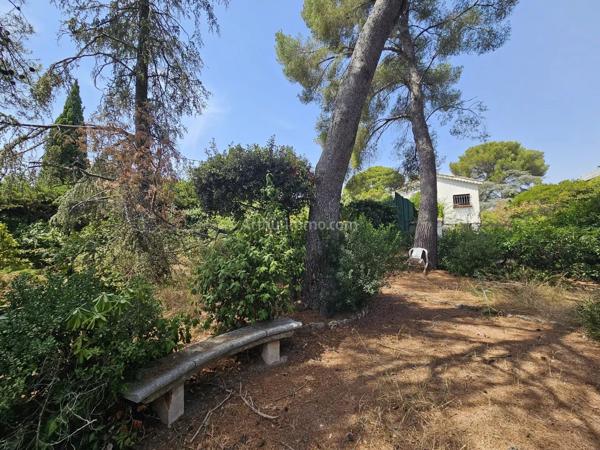 Vente                                                      Villa
                        
                     5 pièces                      140 m2                     à Saint-Raphaël