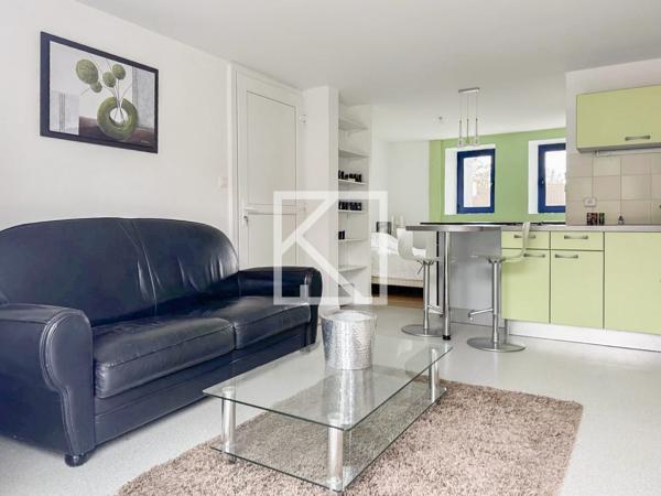 BELLE MAISON EN PIERRE AVEC GRANGE ET STUDIO