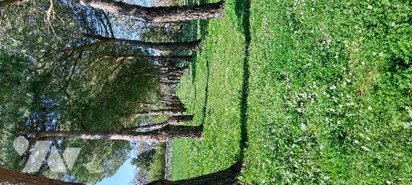 SAINTES-GEMMES-SUR-LOIRE, MAISON DE CARACTERE NICHEE AU SEIN D'UN PARC ARBORE DE 7.500 M²