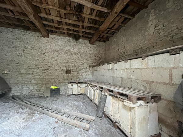 86270 LA ROCHE POSAY ensemble immobilier LA ROCHE POSAY