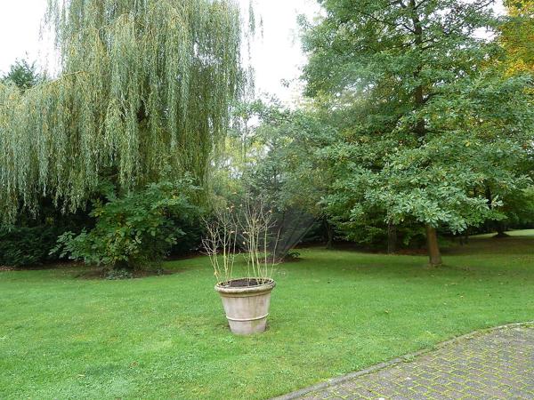 Maison  en vente - Moselle - 57