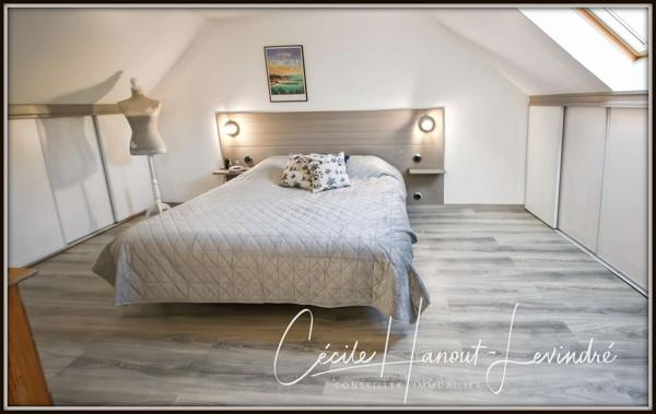 Châteauneuf-d'Ille-et-Vilaine (35430) CHATEAUNEUF D'ILLE-ET-VILAINE. Plein centre. Gîte (2 chambres) + longère (4 chambres). Terrain 825 m².