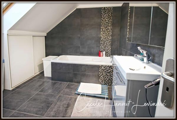 Châteauneuf-d'Ille-et-Vilaine (35430) CHATEAUNEUF D'ILLE-ET-VILAINE. Plein centre. Gîte (2 chambres) + longère (4 chambres). Terrain 825 m².