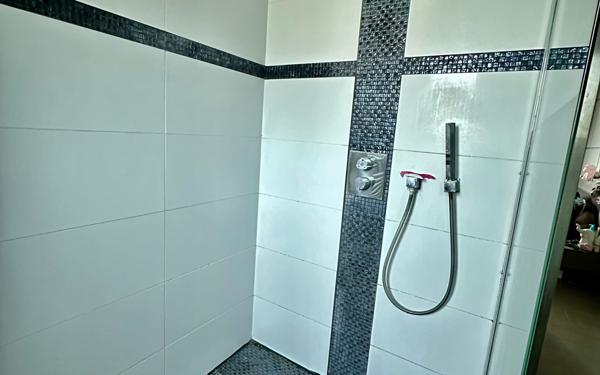 Maison à vendre    6 pièces •  Savas-Mépin