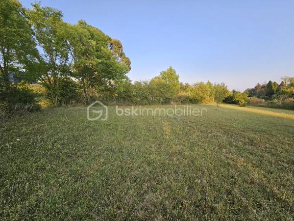 Terrain de 2 197 m²