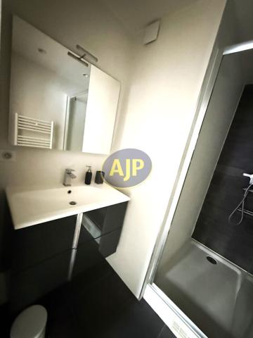 Vente appartement Paris 15eme : 339 200 € - AJP Immobilier Paris 15 - Agence Grenelle