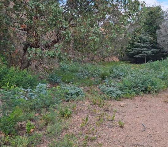 Terrain à bâtir dans le Parc Résidentiel de l'Estérel Mandelieu 21850 m2