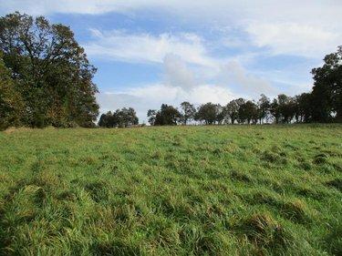 Terrain de loisirs - Bois - Etang à vendre à Carhaix-Plouguer dans le Finistère (29270), ref : 29064-938253