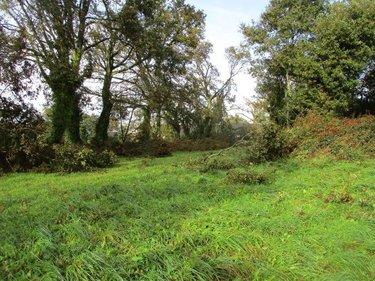 Terrain de loisirs - Bois - Etang à vendre à Carhaix-Plouguer dans le Finistère (29270), ref : 29064-938253