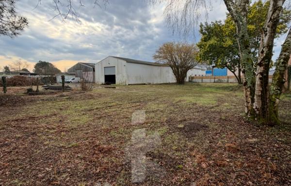 Local professionnel modulable de 479 m2 avec terrain constructible de 2582 m2   Possibilité de division