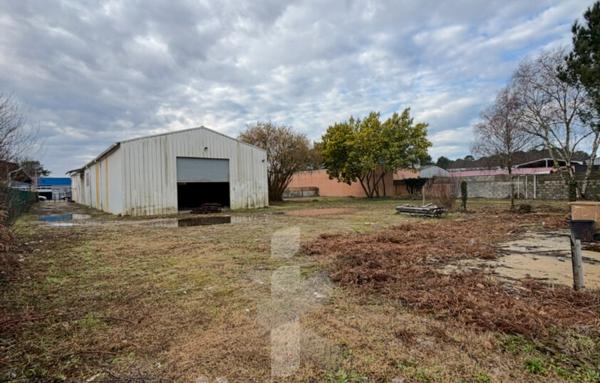 Local professionnel modulable de 479 m2 avec terrain constructible de 2582 m2   Possibilité de division