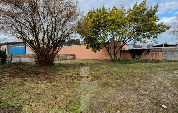 Local professionnel modulable de 479 m2 avec terrain constructible de 2582 m2   Possibilité de division