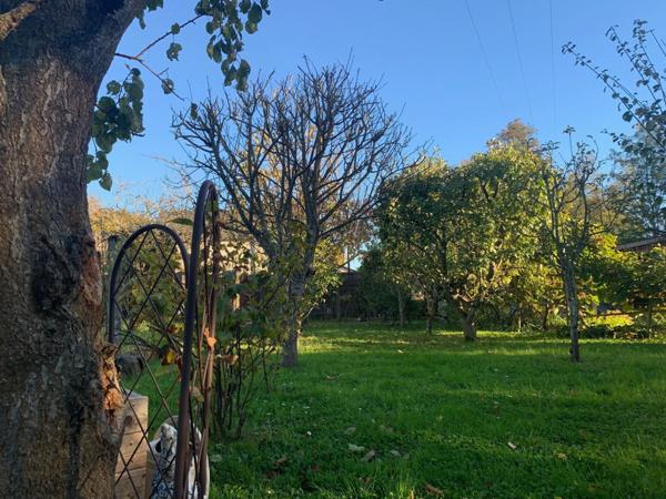 Jardin avec accès à la rivière