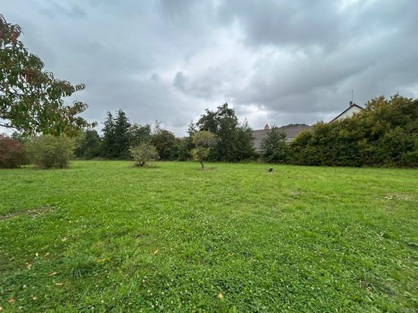 Marcoussis (91460) MARCOUSSIS - Maison de Maître de type F7 - 246 m2 hab - Jardin d'env. 2 100 m2 - Grange