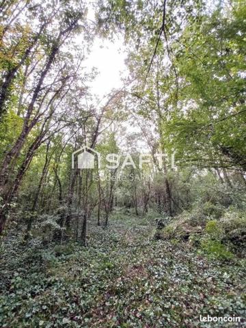 Petit bois proche du plan d'eau de Jaunay-Clan