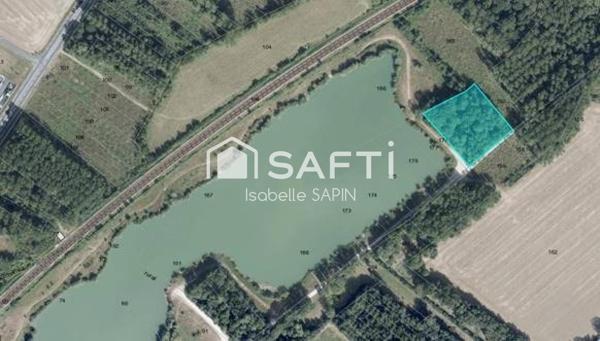 Petit bois proche du plan d'eau de Jaunay-Clan