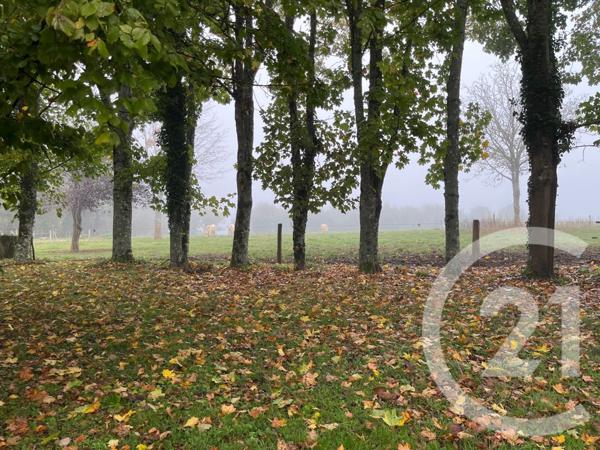 Maison à vendre  4 pièces - 100,75 m2 CHAMPLEMY - 58