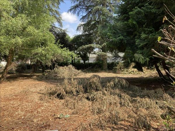 Terrain à vendre |  Antonne-et-Trigonant |  1259 m²