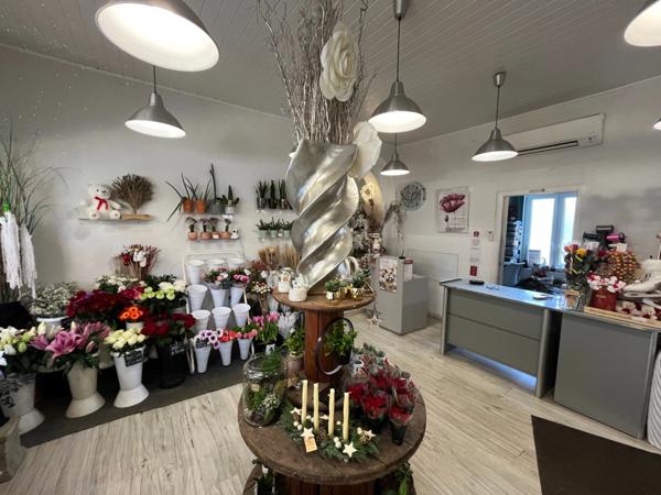 Fonds de commerce et murs à vendre (57)