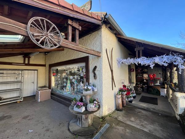 Fonds de commerce et murs à vendre (57)