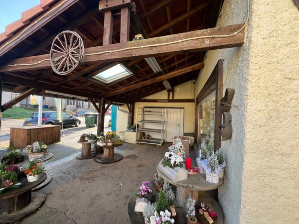 Fonds de commerce et murs à vendre (57)