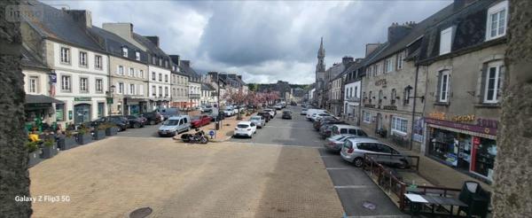 Immeuble à vendre à Huelgoat dans le Finistère (29690), ref : 29064-1090700