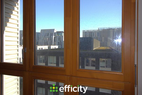 Appartement 1 pièce - 20 m² Exclusivité efficity