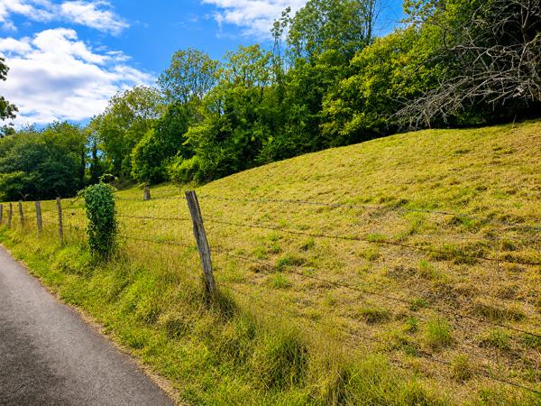 Terrain
        
        - 4780 m² 150 000 € *