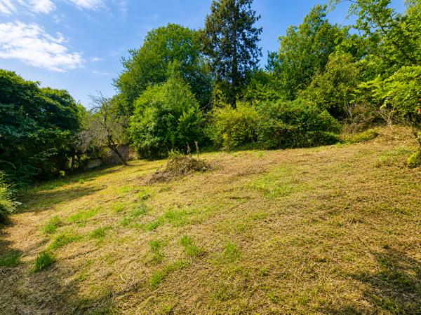 Terrain
        
        - 4780 m² 150 000 € *