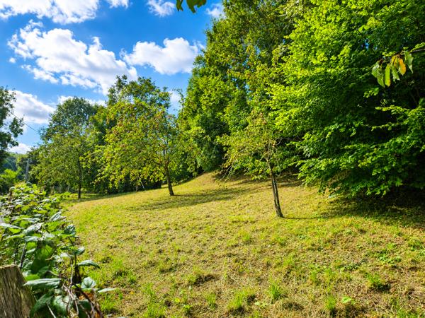 Terrain
        
        - 4780 m² 150 000 € *