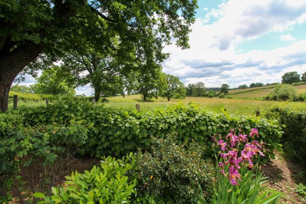 3 chambres, jardin et vue dégagée