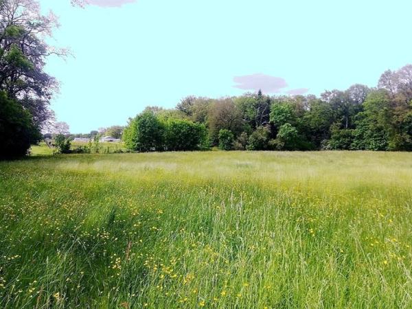 Propriété sur 5 ha secteur Meslay du Maine