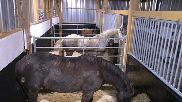 Propriété sur 5 ha secteur Meslay du Maine