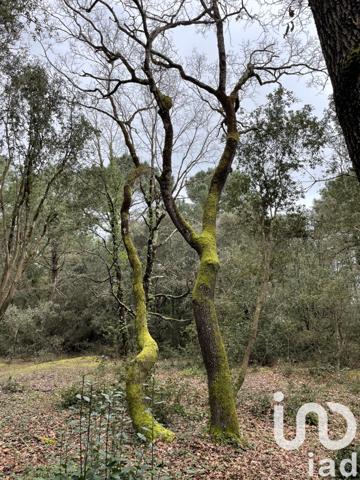 Terrain à vendre 2 252 m² Lanton