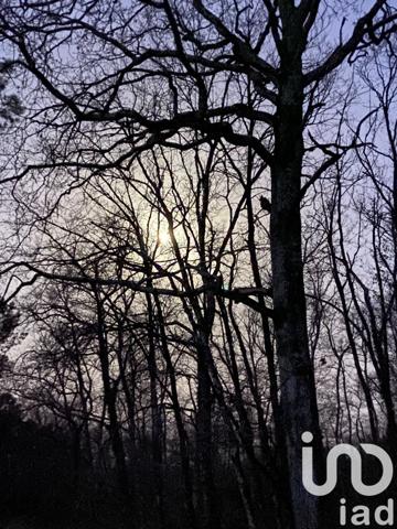 Terrain à vendre 2 252 m² Lanton