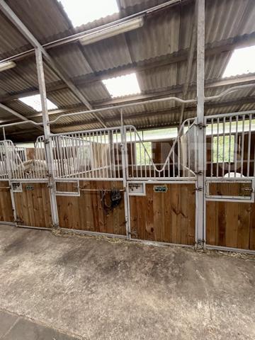 HARAS sur 13300M² Entièrement équipé AVEC habitation de 95m² 