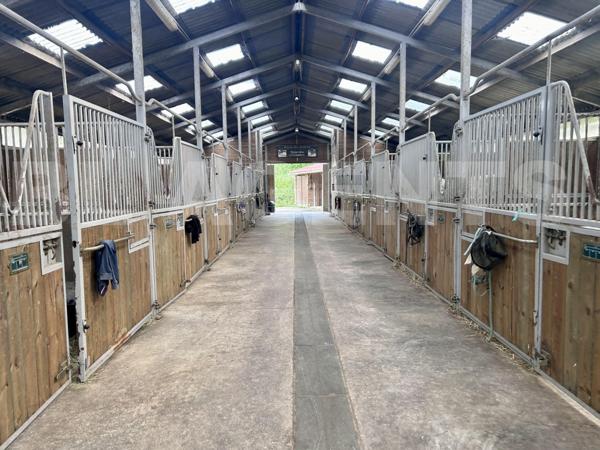 HARAS sur 13300M² Entièrement équipé AVEC habitation de 95m² 