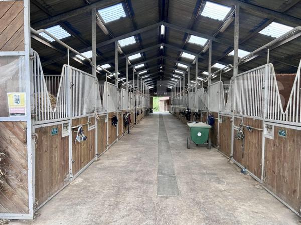 HARAS sur 13300M² Entièrement équipé AVEC habitation de 95m² 
