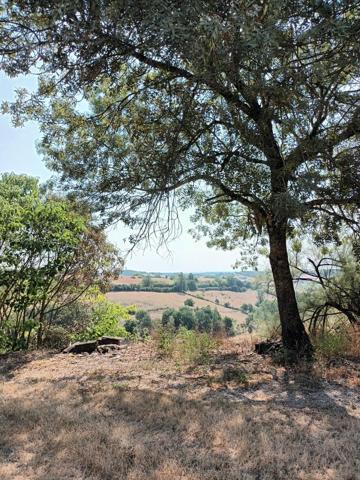 Vente / Maison à Cazes-Mondenard (82110)