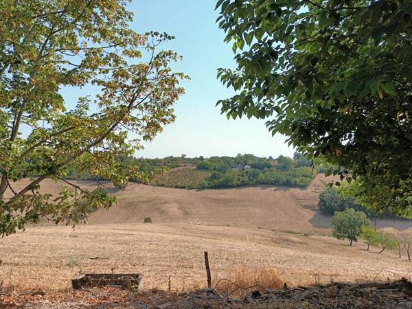 Vente / Maison à Cazes-Mondenard (82110)