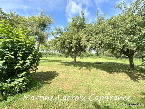 Dpt SARTHE (72), à vendre AVEZÉ - PROPRIÉTÉ  P8 de 166 m² - Terrain de 1H500