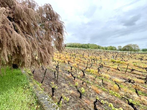 Challex (01630) VENTE MAISON AVEC SOUS-SOL