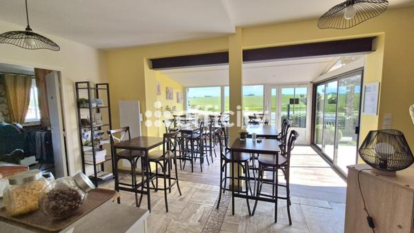 Maison 13 pièces - 310 m² Bien prestige