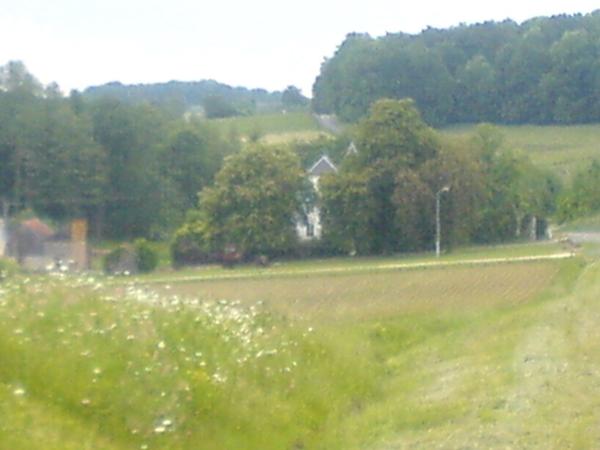 ECORDAL, une maison de caractère sur un terrain de 1ha 25a 17ca.