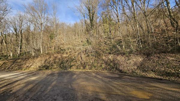 EXCLUSIVITE CESARCHES (73200) : TERRAIN FORESTIER DE 3.81 HECTARES