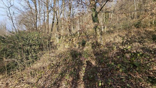 EXCLUSIVITE CESARCHES (73200) : TERRAIN FORESTIER DE 3.81 HECTARES
