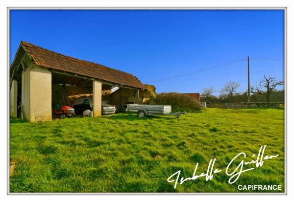 Maison de caractère à vendre 7 pièces MAISONNAIS (18)