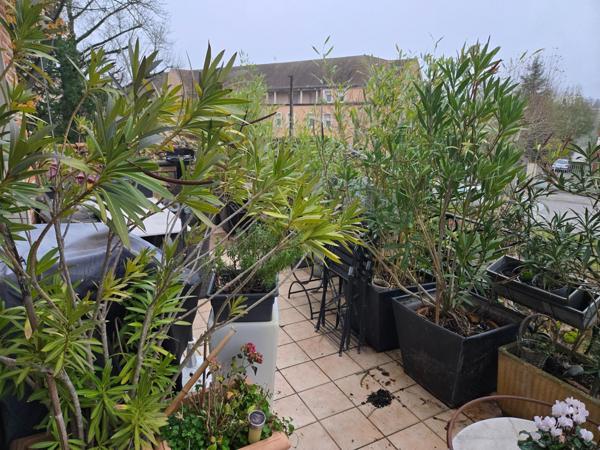 Placé dans un des plus beau quartier de LOUHANS ,magnifique appartement rénové avec charme et authenticité coup de coeur garantie.