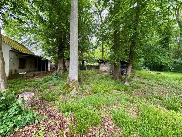 Vente Maison 50 m2 à Dieudonné